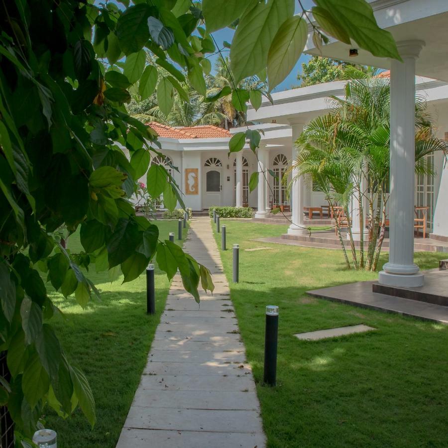Seahorse Hotel & Spa เนกอมโบ ภายนอก รูปภาพ